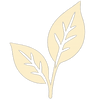 Sustainably Sourced
